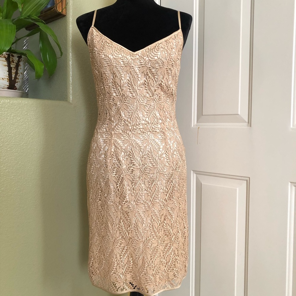 Black Tie Oleg Cassini Dress